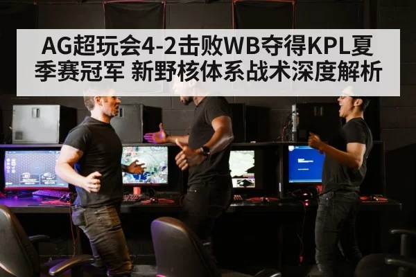 AG超玩会4-2击败WB夺得KPL夏季赛冠军 新野核体系战术深度解析